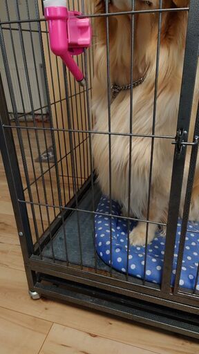 【相談中】　大型犬ok ドッグケージ 相談中】 大型犬ok ドッグケージ