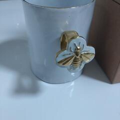 アスティエ・ド・ヴィラット　カップ