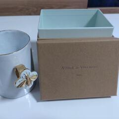 アスティエ・ド・ヴィラット　カップ