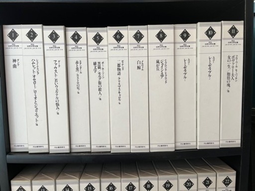 文庫超人気古本】笹沢佐保「天保・国定忠治無頼録(初版第1刷