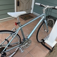 限定カラー　トレックFX リミテッド　説明書付き