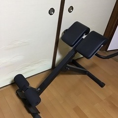 トレーニング　背筋用　スポーツ