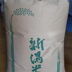 去年　コシヒカリ玄米30kg　取引者決定