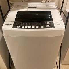 Hisense 洗濯機　HW-T55C 5.5kg 2019年製　美品