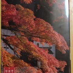 紅葉ファイル　