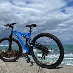 ⚽️🏀部活最適　Wサス Wディスク　美車🚲🚛配送可