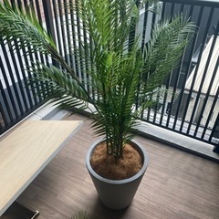 人工観葉植物　フェイクグリーン