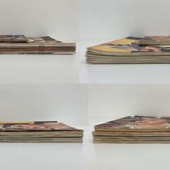 【レガストック川崎本店】復刻版「スタア」出版社 国書刊行会 全10冊+ポスター1枚