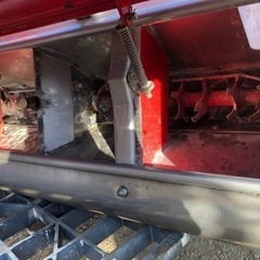 スター  ライムソワー