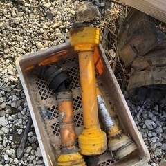 スター  ライムソワー