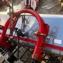 スター  ライムソワー