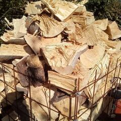 ●引取限定●広葉樹ミックス 未乾燥 規格外 薪0.729㎥に山盛り