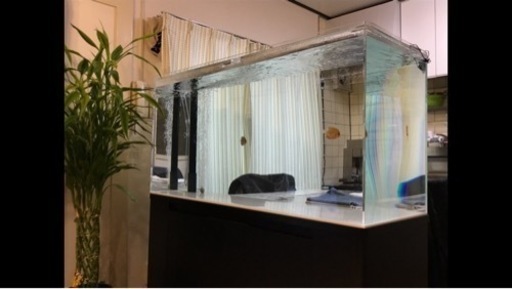 水槽　大型　熱帯魚　一式セット売り　美品