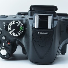 S数約5900回●バリアングル液晶●初心者向け●転送可能●ニコン D5200 1ヶ月動作補償あり！ 安心のゆうパック代引き発送！ 送料、代引き手数料無料！