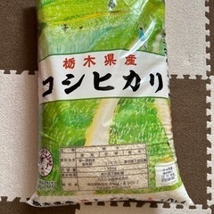 コシヒカリ　お米　１０ｋｇ　4年度　新米
