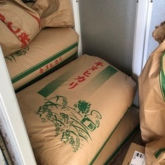 令和4年収穫　キヌヒカリ玄米　30kg