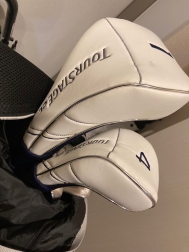 種から育てたアボカドの木 引き取り可能な方！ なるべく早く引き取り先希望