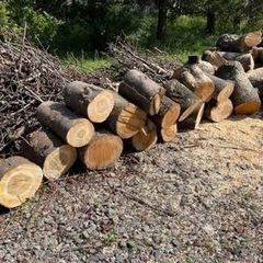 木材、端材、丸太、枝、幹、回収します！