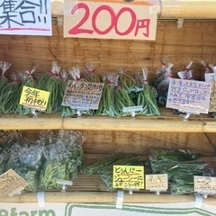 本日周年祭！！よりどり好きな野菜3点200円！