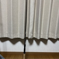 バスロッド ワイルドサイドWSC66ML