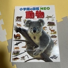 小学館の図鑑neo 動物