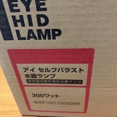 水銀ランプ　　BHRF100/110V300WH2個