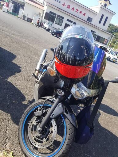 CBR250R スリップオン リアキャリア
