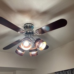 シーリング ファンの中古が安い！激安で譲ります・無料であげます(42  