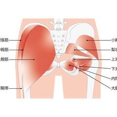《尻痛専門》　初回お試し割引　2980円　腰痛、坐骨神経痛、梨状筋症候群 - ボディケア