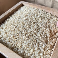 令和3年産 古米 あきさかり 30kg 玄米 残り9袋