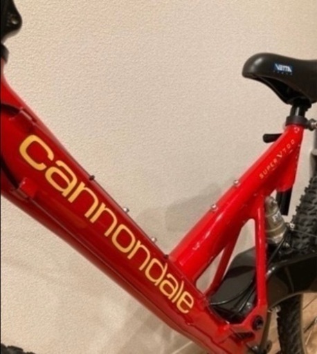 ビンテージ　キャノンデールマウンテン　赤　アメリカ製 ビンテージキャノンデールマウンテン赤アメリカ製
