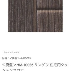 CF HM-10025 15m 30000円分