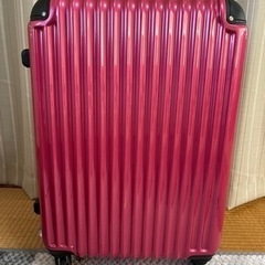 スーツケース決まりました