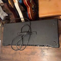 PEAVEY6506+112COMBO 純正フットスイッチ付※最後までお読みください