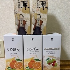 【5本で1000円】米焼酎、白岳(梅酒・うめぽん)