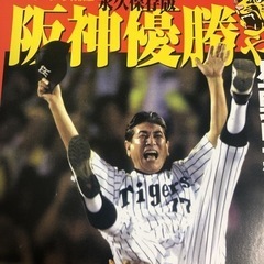 永久保存版 阪神タイガース優勝記念号