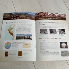 東洋羽毛　アルパカブランケット