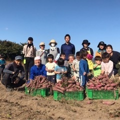 風の時代  繋がって未来を切り開こう！