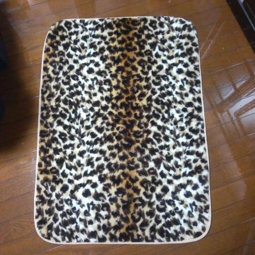 新品❗️分厚い ミニ毛布 ¥1,980の品 www.inversionesczhn.com