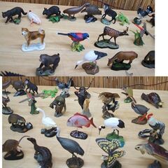 ミニフィギュア 計50体セット(47+3) 海洋堂 週刊 日本の天然記念