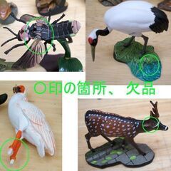 ミニフィギュア 計50体セット(47+3) 海洋堂 週刊 日本の天然記念物 動物編 フィギュアのみ 銀狼 青ザリガニ カメ幼 ☆ PayPay(ペイペイ)決済可能 ☆ 札幌市 豊平区 平岸 ミニフィギュア 計50体セット(47+3) 海洋堂 週刊 日本の天然記念