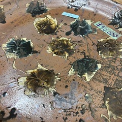 【うるま市宮里】やちむん大皿66cm 1枚50,000円