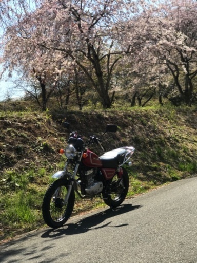 gn125 2f