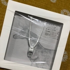 CD 馬と鹿