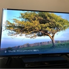 【取引中】40インチ　2019年製　液晶テレビ