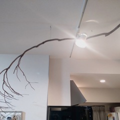 大きな木の枝　３本　インテリア・オーナメント　飾り　木製オブジェ