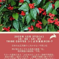 お正月花（千両・松）の販促会＠TRIBE COFFEEの画像
