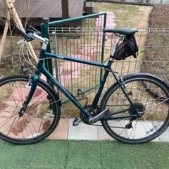 Giant Escape R3 555mm（L：180 -195cm）緑色