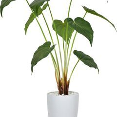 H観葉植物【クワズイモ 57cm／グリーン色】フェイクグリーン ...