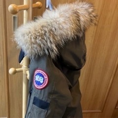 決まりました　　カナダグース